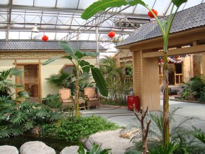 專業設計 施工各種鋼結構智能溫室、鋼結構室內園林景觀生態園工程、網架花卉溫室工程