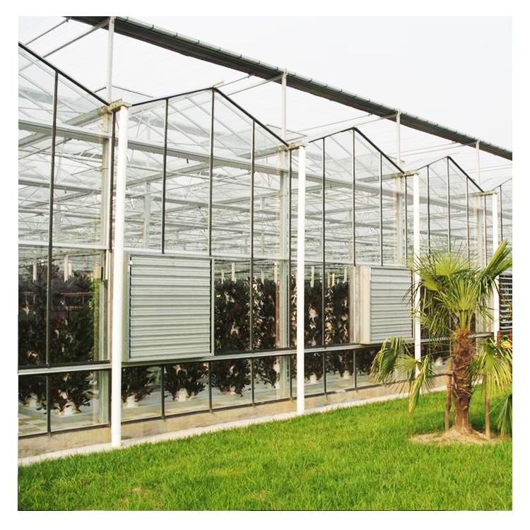 陽板溫室建設(shè)觀光生態(tài)園溫室建造玻璃智能溫室建設(shè)安陽鑫海溫室建造最專業(yè)圖片_高清圖_細節(jié)圖