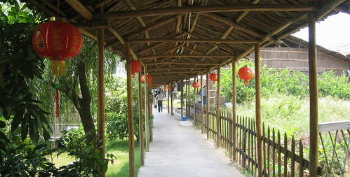 盈香生態園門票全攻略 預訂方式、價格信息與游玩指南