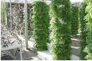 山東專業(yè)溫室生態(tài)園建設(shè)指南 從規(guī)劃到落地的全方位解析