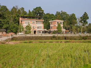 百信農(nóng)業(yè)生態(tài)園 打造百姓信任的生態(tài)家園