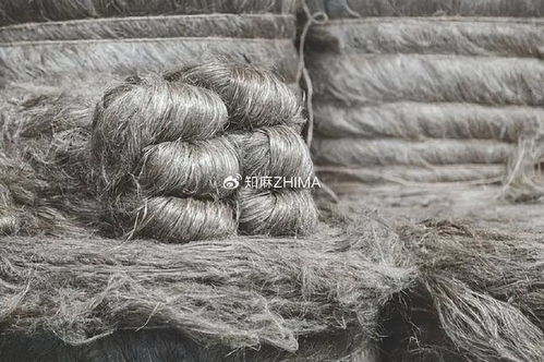 知訊024 2024年歐洲亞麻收成前景樂觀，利好針紡織品產(chǎn)業(yè)