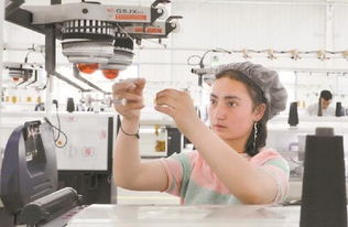 新疆生產(chǎn)建設兵團 固邊興疆，兵地富余勞動力轉型產(chǎn)業(yè)工人助力針紡織業(yè)發(fā)展