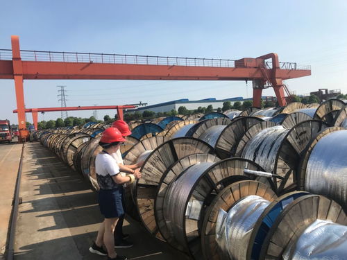 光纜鑄夢 不畏驕陽，C位出道